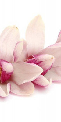 Poszter fiataloknak TPF315