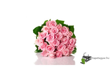 Poszter fiataloknak TPF101