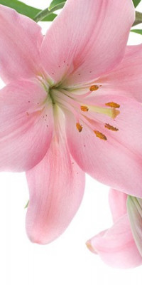 Poszter fiataloknak TPF103