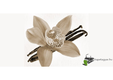 Poszter fiataloknak TPF106