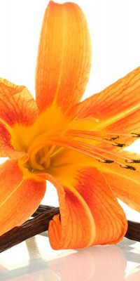 Poszter fiataloknak TPF119