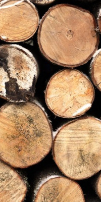 Poszter fiataloknak TPF012