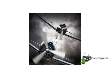 Poszter fiataloknak TPF134