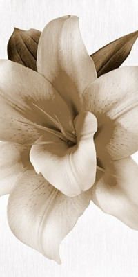 Poszter fiataloknak TPF136