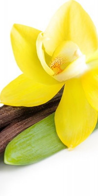 Poszter fiataloknak TPF140