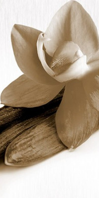 Poszter fiataloknak TPF141