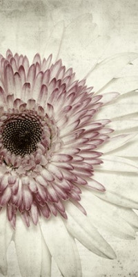 Poszter fiataloknak TPF149