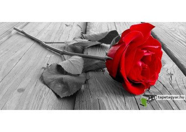 Poszter fiataloknak TPF159