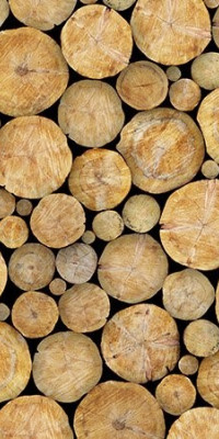 Poszter fiataloknak TPF164