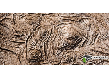 Poszter fiataloknak TPF173