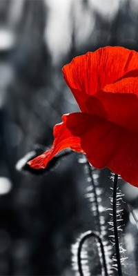 Poszter fiataloknak TPF192