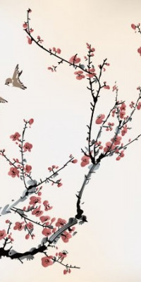 Poszter fiataloknak TPF194