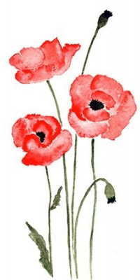 Poszter fiataloknak TPF200