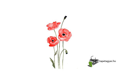 Poszter fiataloknak TPF200