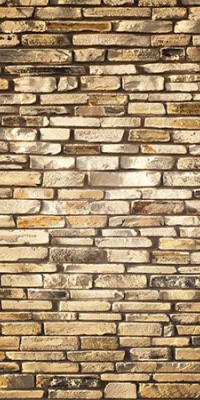 Poszter fiataloknak TPF221