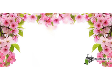 Poszter fiataloknak TPF266