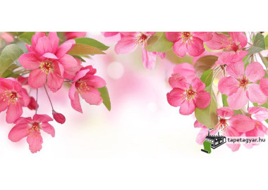 Poszter fiataloknak TPF270