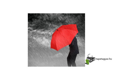 Poszter fiataloknak TPF275