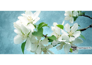 Poszter fiataloknak TPF277