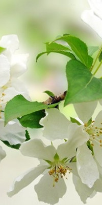 Poszter fiataloknak TPF281