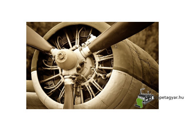 TPF057  - vászonkép