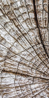 Poszter fiataloknak TPF087