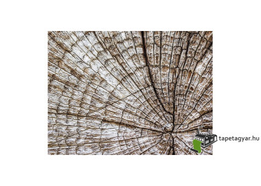 Poszter fiataloknak TPF087