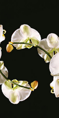 Poszter fiataloknak TPF094