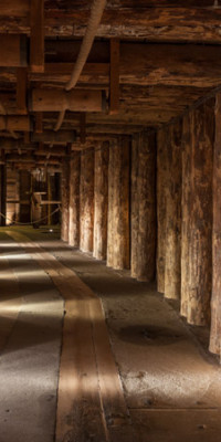 Poszter fiataloknak TPF318