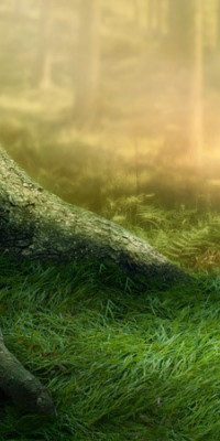 Poszter gyermekeknek TPGY004