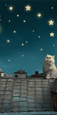 Poszter gyermekeknek TPGY034