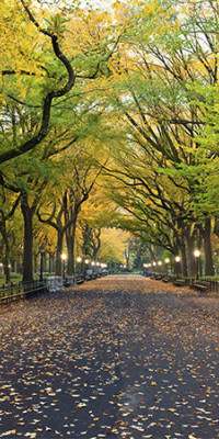 Poszter tájképTPT269