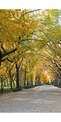 Poszter tájképTPT270