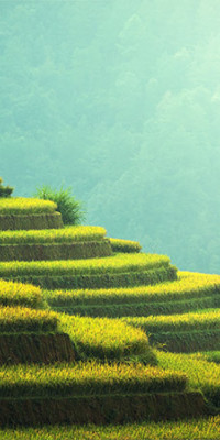 Poszter tájképTPT273