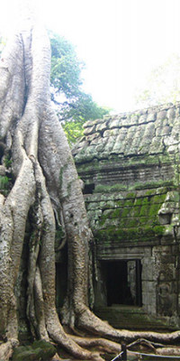 Poszter tájképTPT274