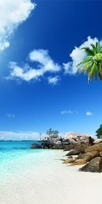 Poszter tájképTPT236