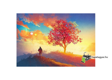 Poszter tájképTPT250