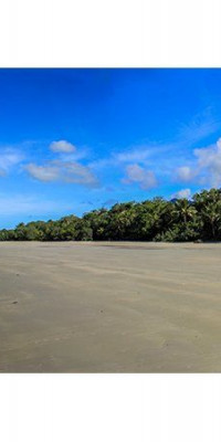 Poszter tájképTPT254