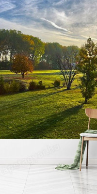 Böjtös Attila: BA-TA-023