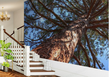 Böjtös Attila: BA-TA-022