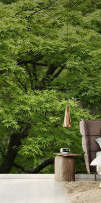 Böjtös Attila: BA-TA-021