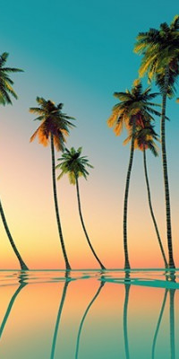 Poszter tájképTPT109