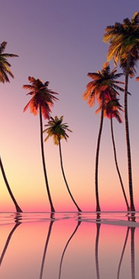 Poszter tájképTPT111