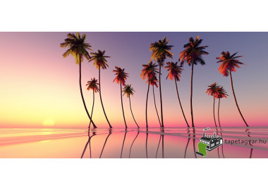 Poszter tájképTPT111