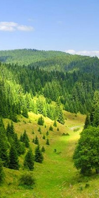 Poszter tájképTPT115