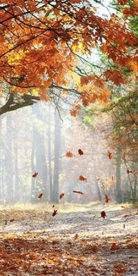 Poszter tájképTPT117