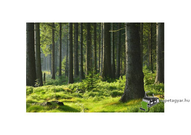 Poszter tájképTPT129