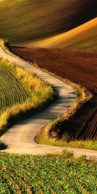 Poszter tájképTPT130