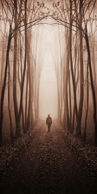 Poszter tájképTPT146