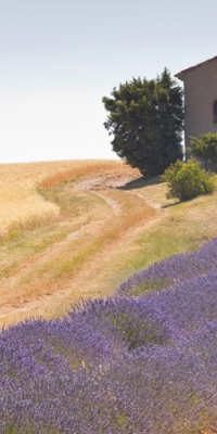 Poszter tájképTPT015